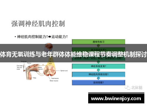 体育无氧训练与老年群体体能维稳课程节奏调整机制探讨